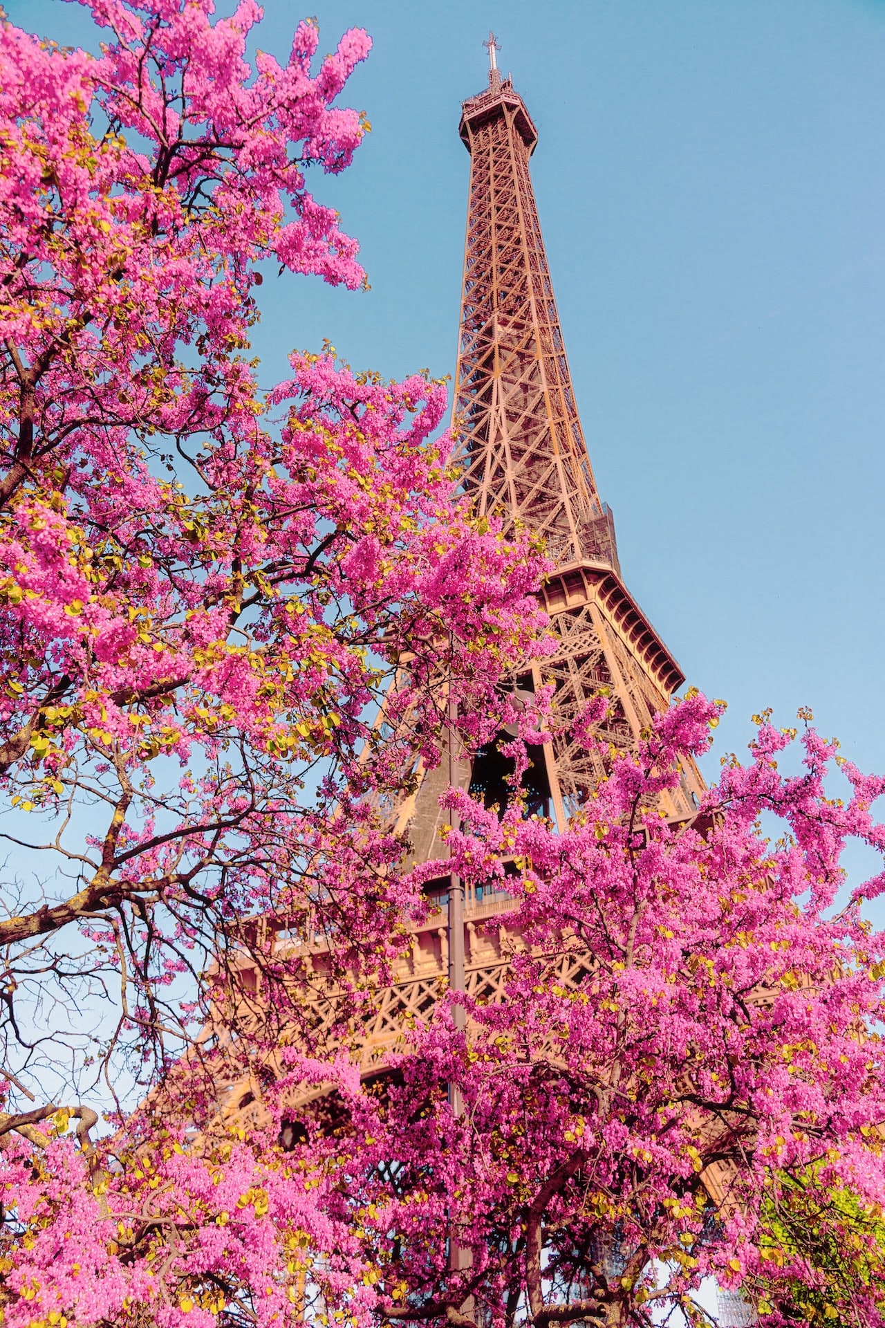 Spring time in Paris